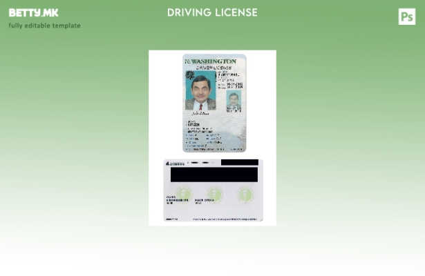 модерен стил САД Вашигтон возачка дозвола под шаблон